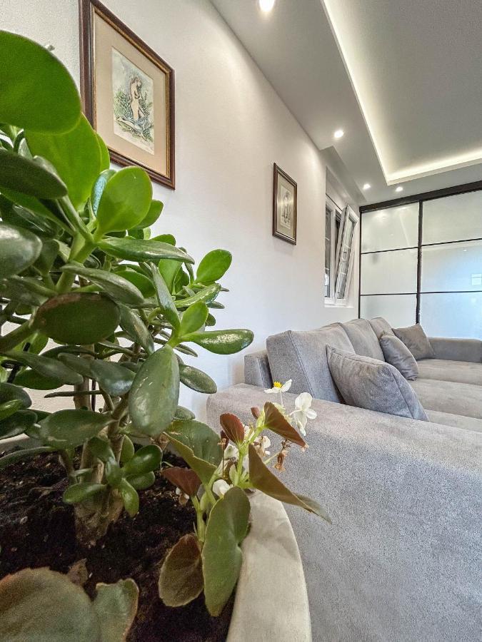 Sunrise Apartment 科托尔 外观 照片